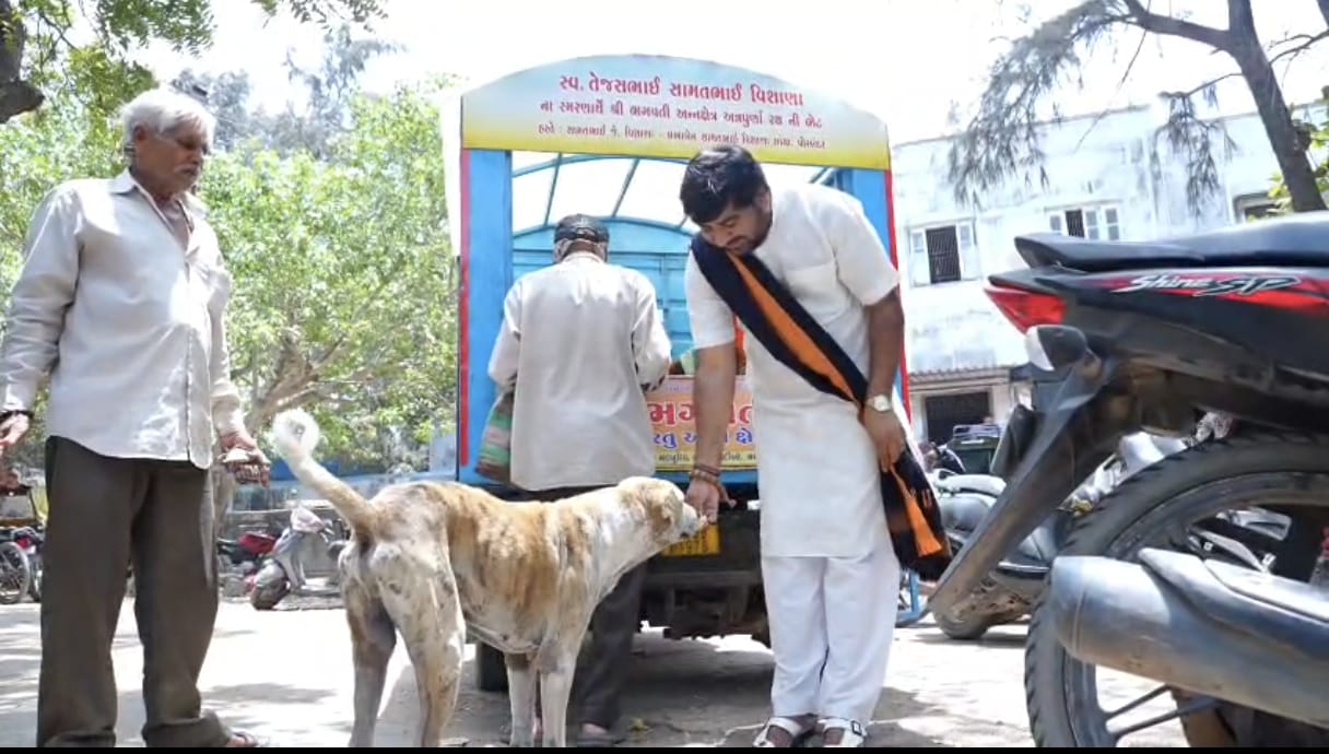 ગૌ સેવા કાર્યો